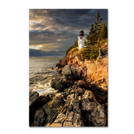 Trademark Fine Art Michael Blanchette Photography 'On the Bluff' Canvas Art, 12x19 ALI3947-C1219GG